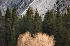Three Layers