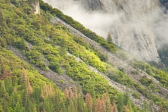 Foggy Valley