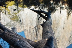 El Cap