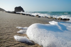 Foam