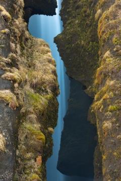 The Gap