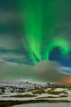 Green Fantasy #1