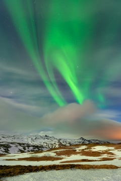 Green Fantasy #3
